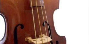 Upright Double Bass Gut Strings