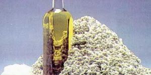 Cottonseed Oil