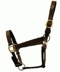 Leather Horse Bridles