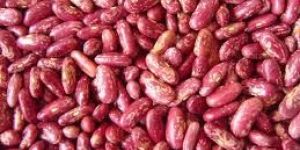 Red Speckled Kidney Beans