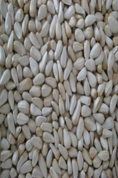 Safflower Seed