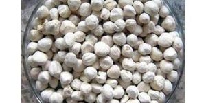 Moringa Plantation Seeds