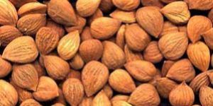 Organic Cold Pressed Oils