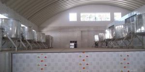 Kitchen Mid Day Meal