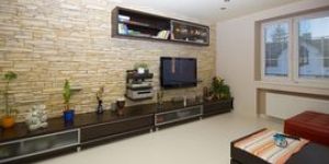 Terroza Ready Plaster