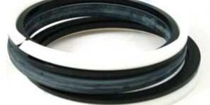 Pneumatic Back Up Seal