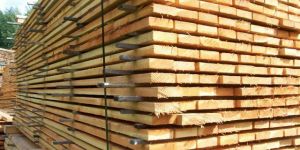 Softwood Timber