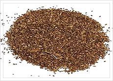 Cnidium Monnieri (Cnidium)