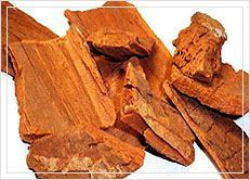 Pausinystalia Yohimbe (Yohimbi)