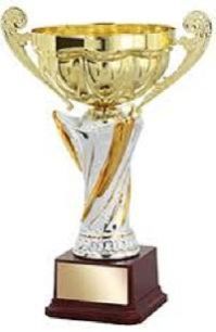 Sports Trophy