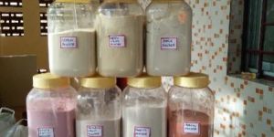 Dehydrated Fruit Powder