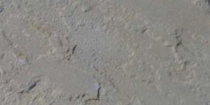 Kandla Grey Sandstone