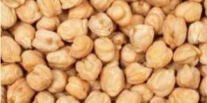Kabuli Chickpeas
