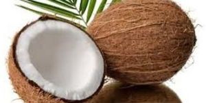 Fresh Coconut