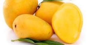 Fresh Mango