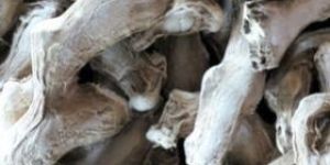 Dried Ginger