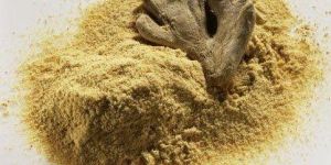 Dried Ginger Powder