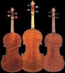Maplewood Violin