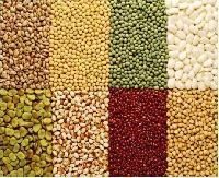 Cereals Food Grains