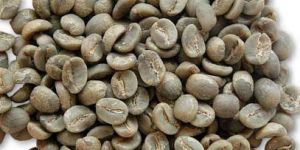 Arabica Coffee Beans