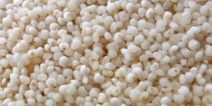 Kodo Millet - ( Varagu Rice )