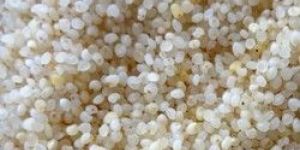 Little Millet ( Samai Rice )