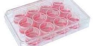 Tissue Culture Plates