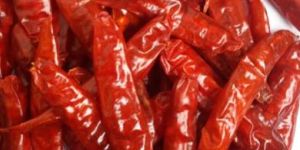 Red Chilli,dry Red Chilli,guntur Red Chilli