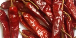 Red Chilli Pepper