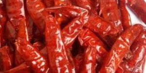 Sannam Red Chilli