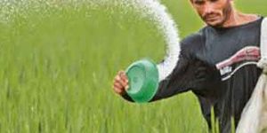 Fertilizer Chemicals