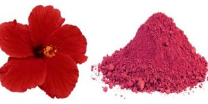 Crushed Flower Petals