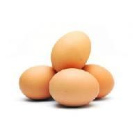 Desi Eggs