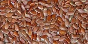 Asaliya Seeds