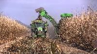 Sugarcane Harvester