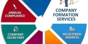 Company Formation Services