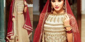 Designer Lehnga Choli