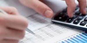 Professional Tax Return Services