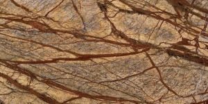 Rain Forest Brown Marble Stone