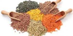 Indian Pulses