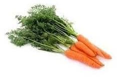 Fresh Carrot