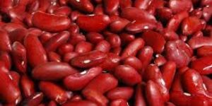 Brined Red Kidney Beans