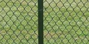 PVC Coated Chain Link Fence