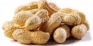 Peanuts