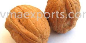 Walnuts