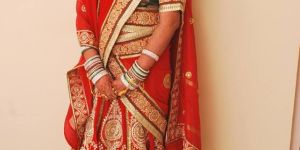 Fully Embroidered Lehenga Choli