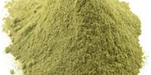 Fennel Powder