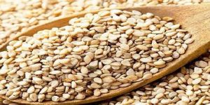 Natural Sesame Seeds
