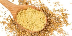 Yellow Mustardpowder
