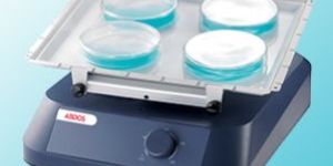 WAVEMAX - CLASSIC ORBITAL